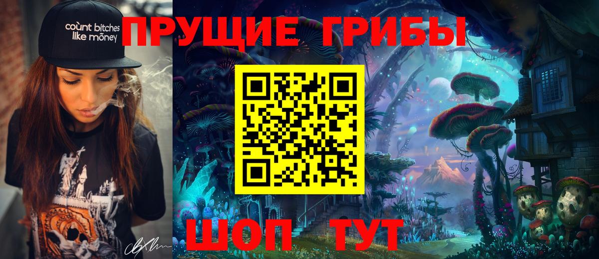 Гатчина  Галлюциногенные грибы MAGIC MUSHROOMS  Вход с VPN  Галлюциногенные грибы MAGIC MUSHROOMS 